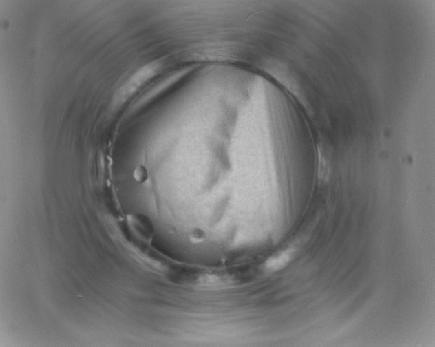 X0000060740109200511241648