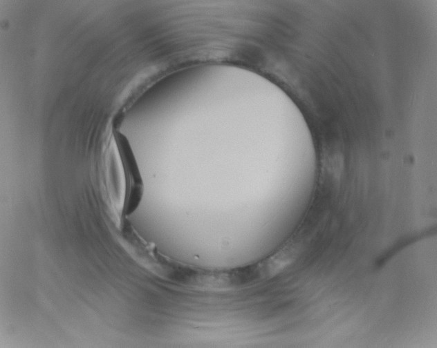 X0000060740110200511241648