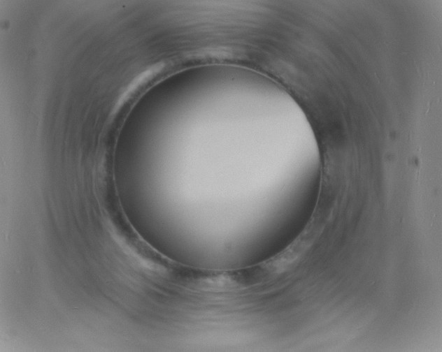 X0000060740112200511241648