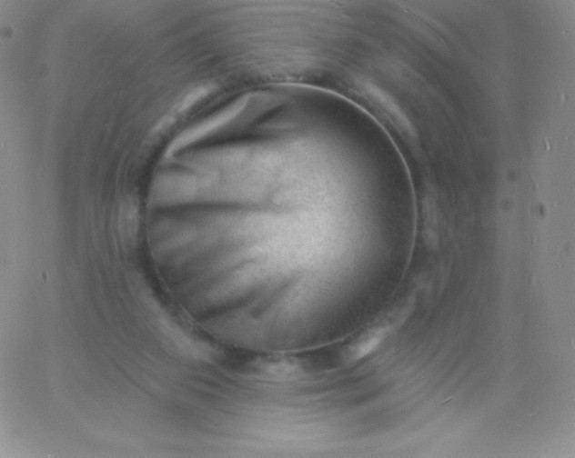 X0000060740113200511241648