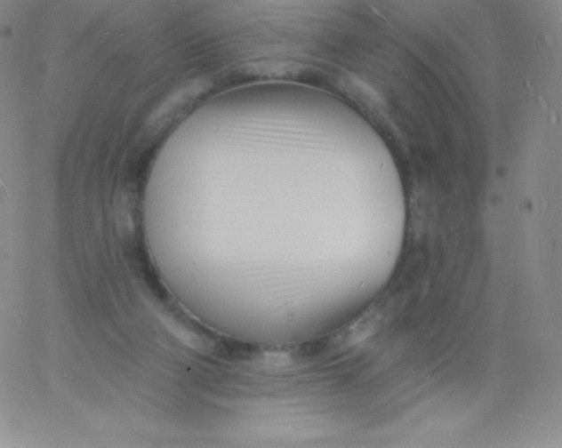 X0000060740114200511241648