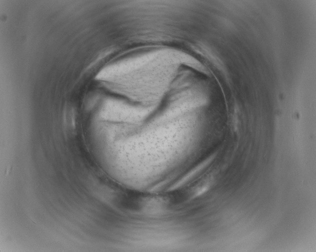 X0000060740115200511241648