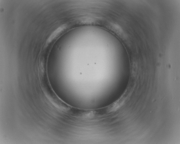 X0000060740116200511241648