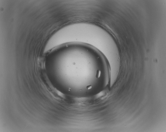 X0000060740117200511241648