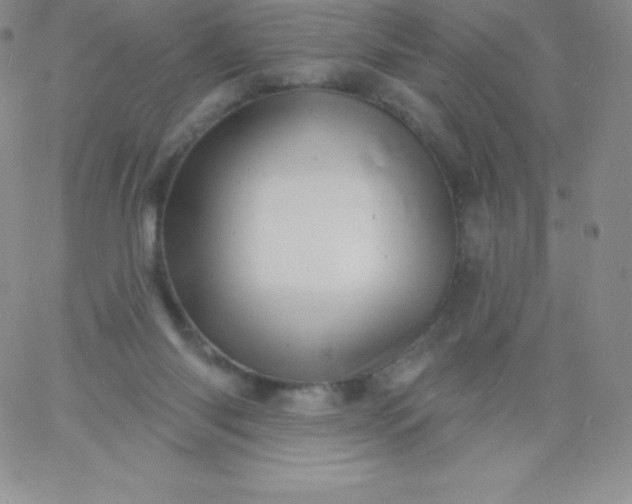 X0000060740118200511241648