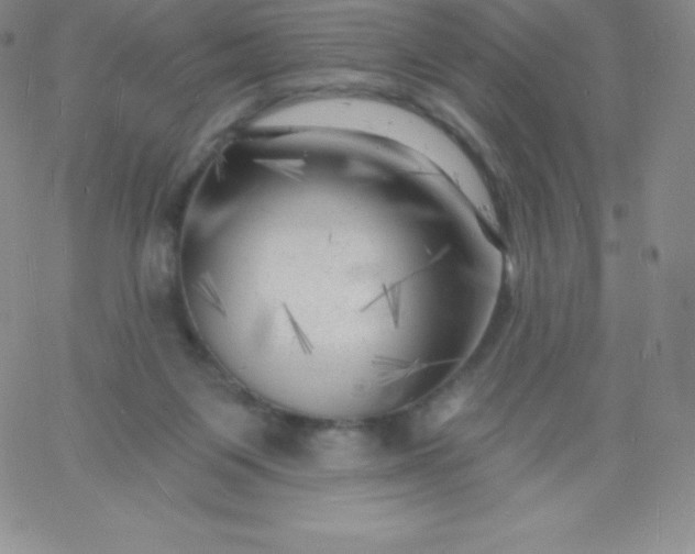 X0000060740119200511241648