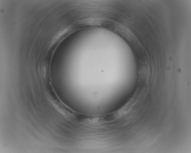 X0000060740120200511241648