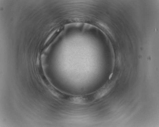 X0000060740121200511241648