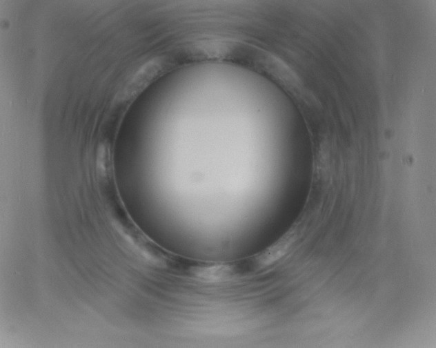 X0000060740122200511241648