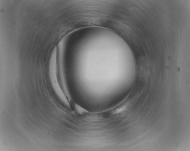 X0000060740123200511241648