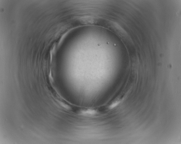 X0000060740125200511241648