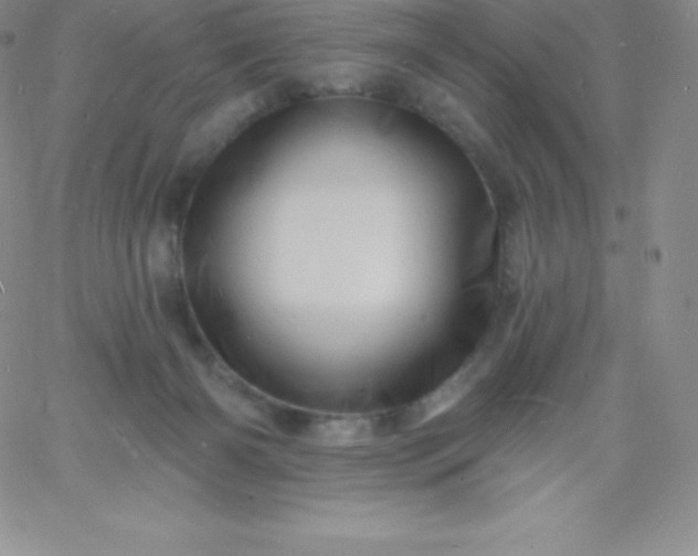 X0000060740126200511241648