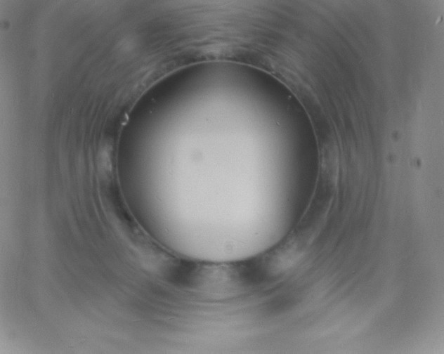 X0000060740127200511241647