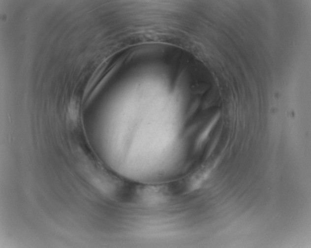 X0000060740129200511241647