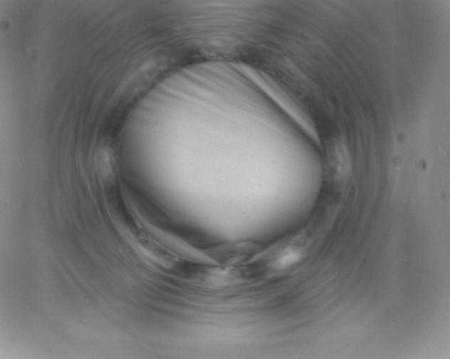 X0000060740130200511241647