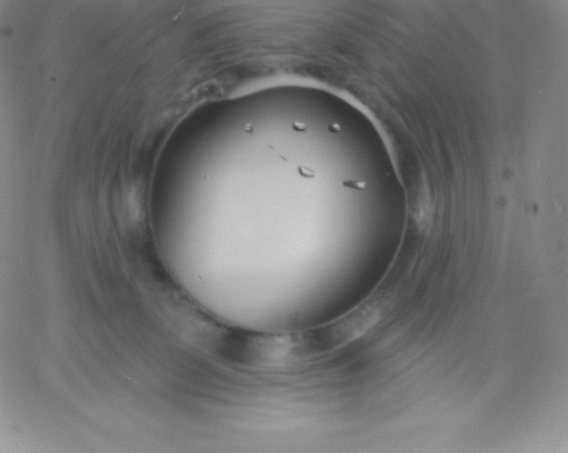 X0000060740131200511241647