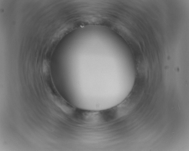 X0000060740132200511241647