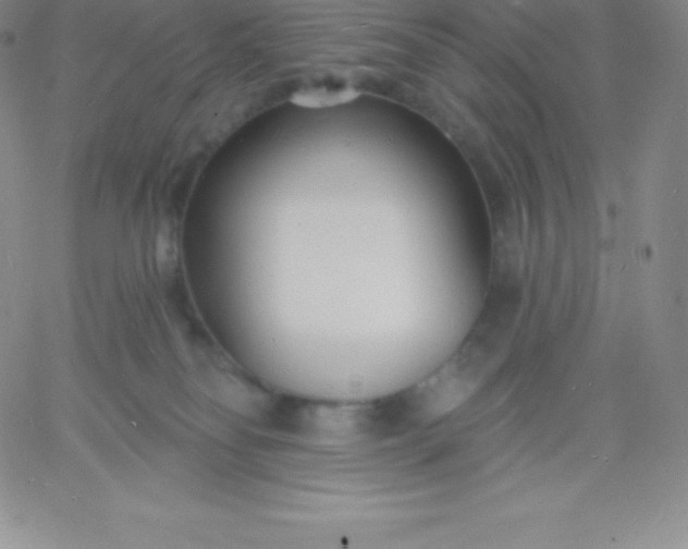 X0000060740134200511241647