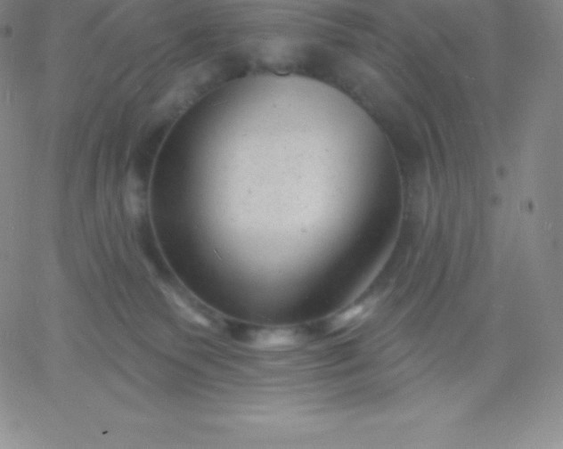 X0000060740135200511241647