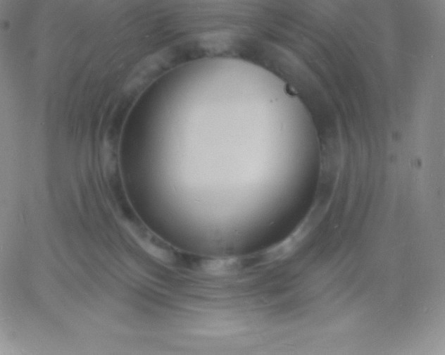 X0000060740136200511241647