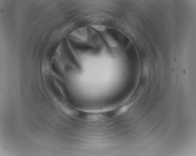 X0000060740137200511241647