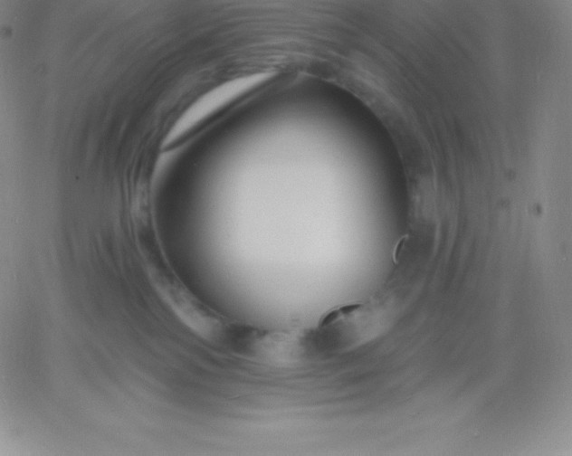 X0000060740138200511241647