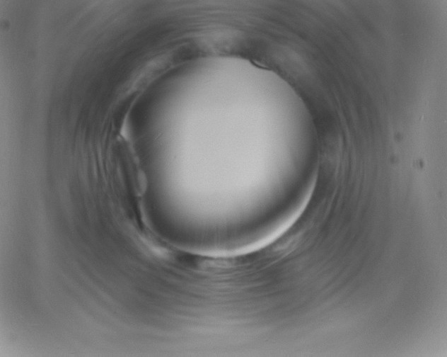 X0000060740139200511241647