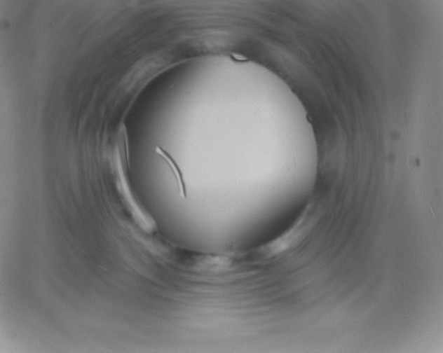 X0000060740140200511241647