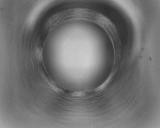 X0000060740142200511241647