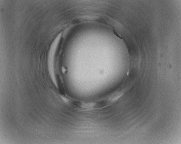 X0000060740143200511241647