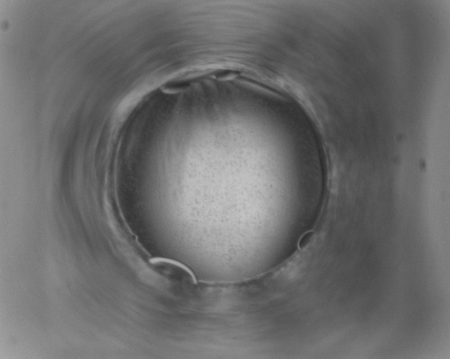 X0000060740145200511241646