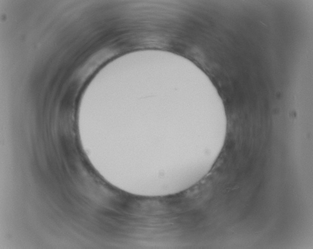 X0000060740146200511241646