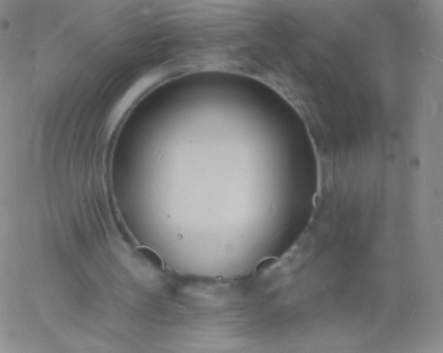 X0000060740147200511241646