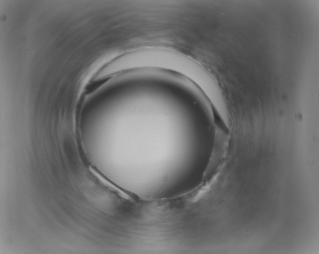 X0000060740148200511241646