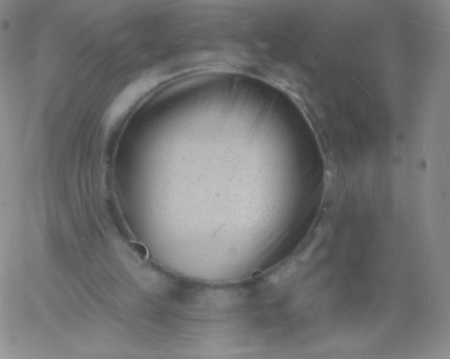 X0000060740149200511241646