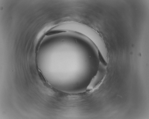 X0000060740150200511241647