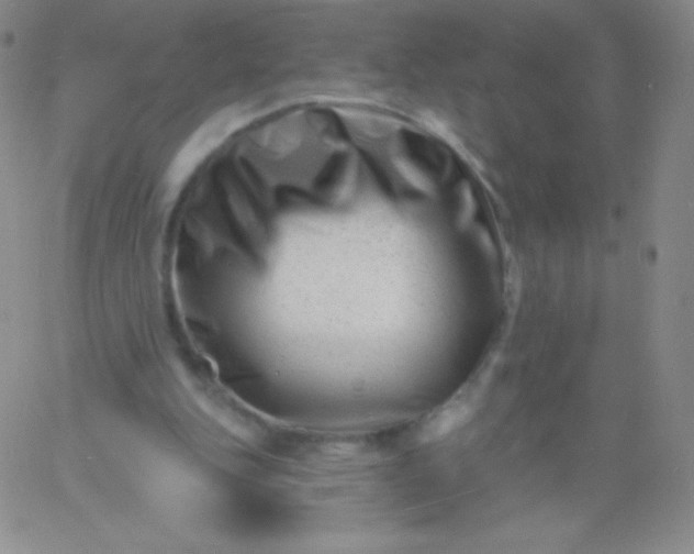 X0000060740151200511241647