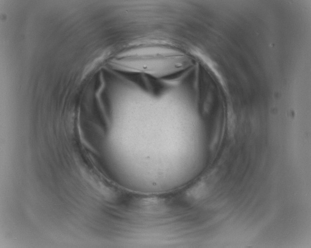 X0000060740153200511241647