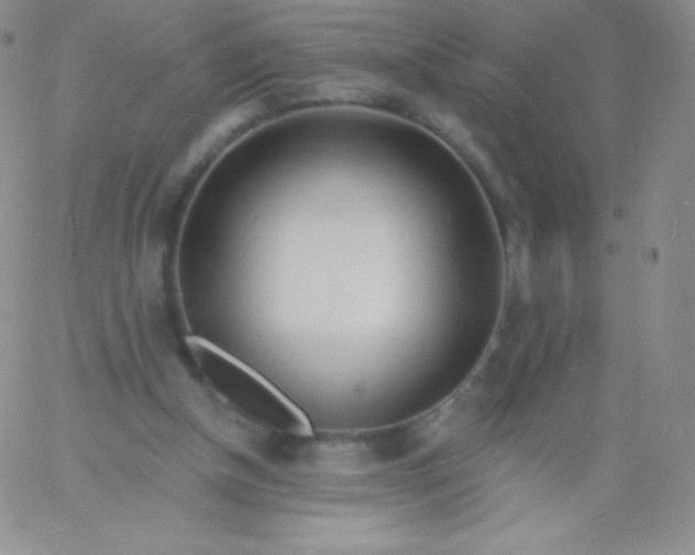 X0000060740154200511241647