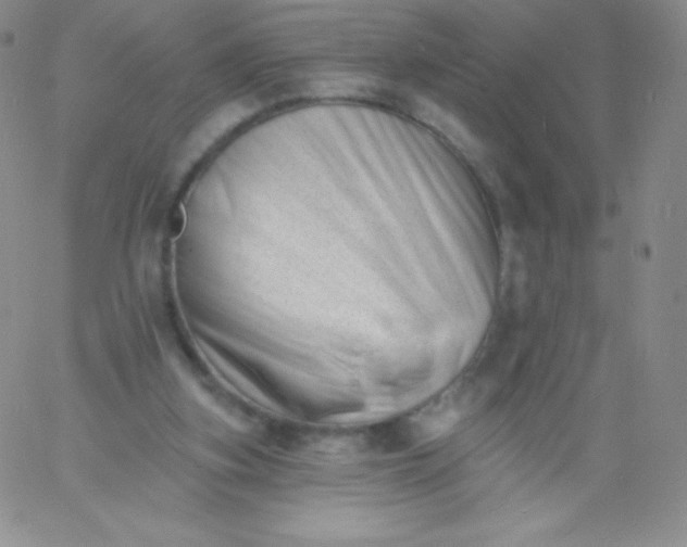 X0000060740155200511241647