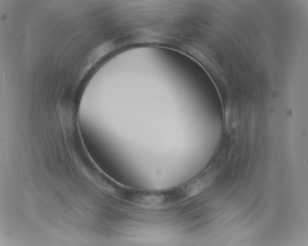 X0000060740156200511241647