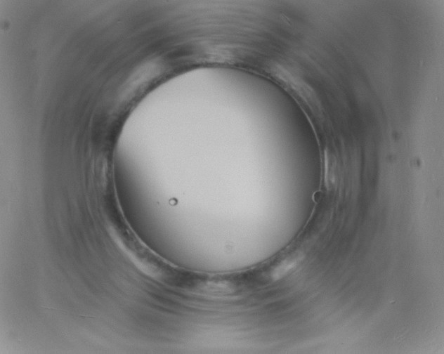 X0000060740157200511241647