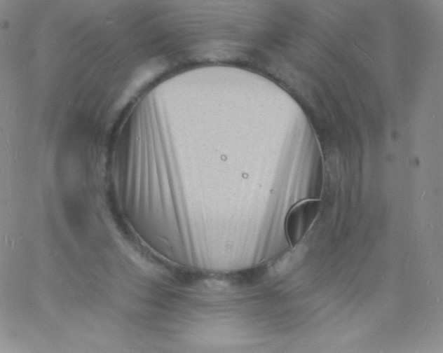 X0000060740159200511241647