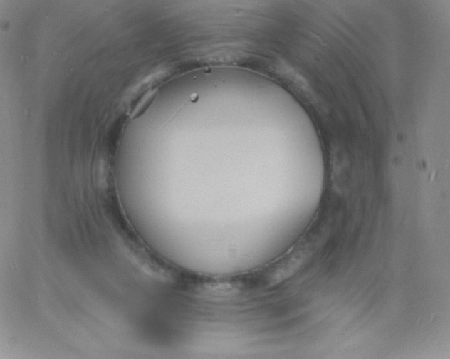 X0000060740161200511241647