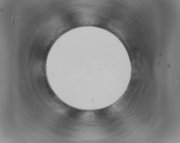 X0000060740162200511241647