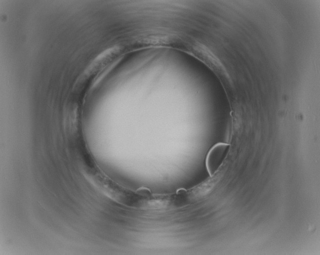 X0000060740163200511241647