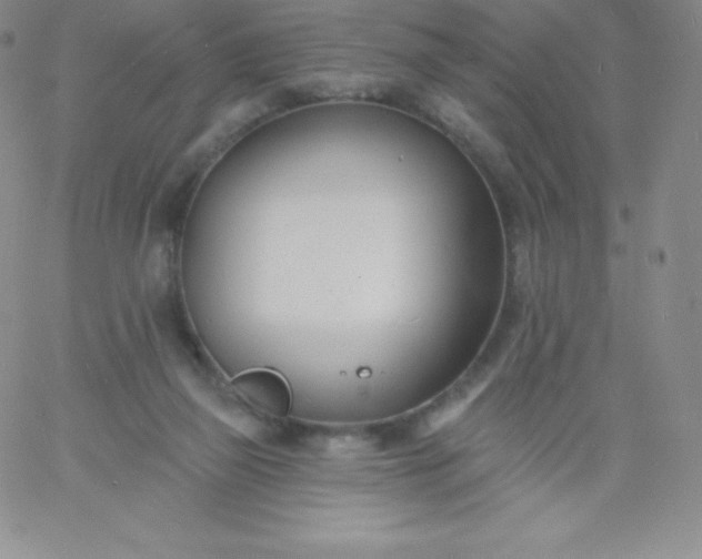 X0000060740165200511241647