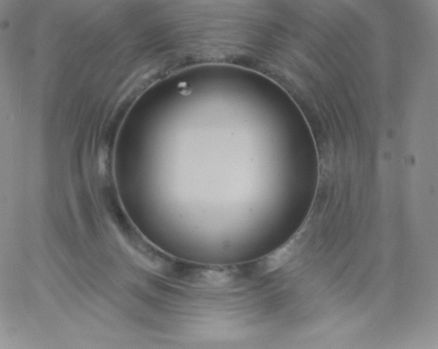 X0000060740166200511241647