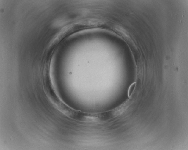 X0000060740167200511241647