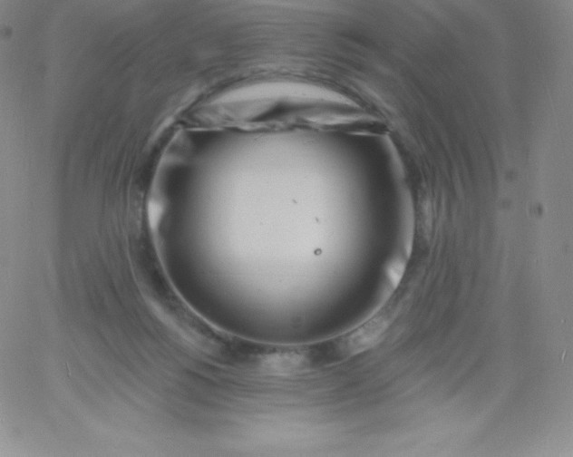 X0000060740168200511241647